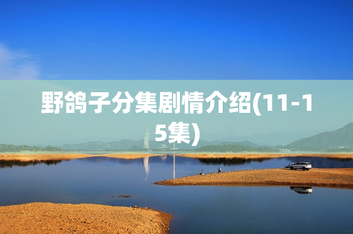 野鸽子分集剧情介绍(11-15集)