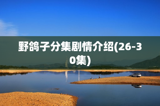 野鸽子分集剧情介绍(26-30集)