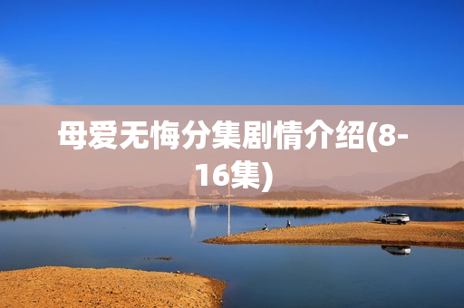 母爱无悔分集剧情介绍(8-16集)
