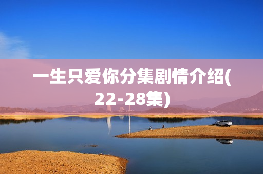 一生只爱你分集剧情介绍(22-28集)