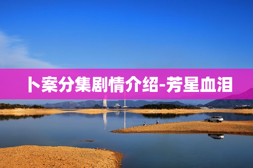 卜案分集剧情介绍-芳星血泪