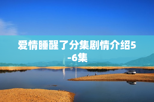 爱情睡醒了分集剧情介绍5-6集