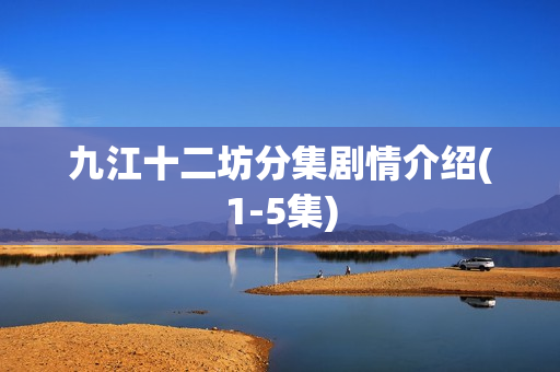 九江十二坊分集剧情介绍(1-5集)