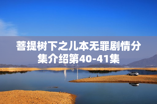 菩提树下之儿本无罪剧情分集介绍第40-41集