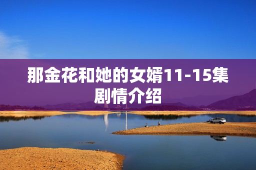 那金花和她的女婿11-15集剧情介绍