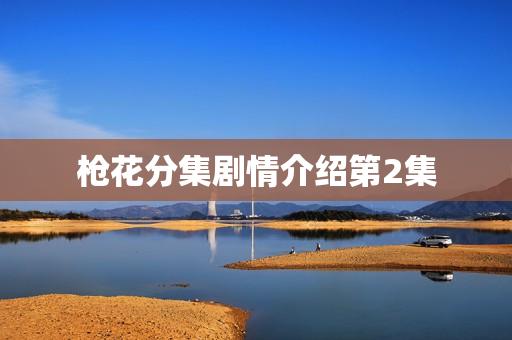 枪花分集剧情介绍第2集