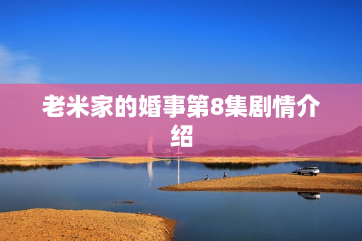 老米家的婚事第8集剧情介绍