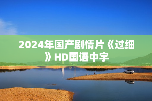 2024年国产剧情片《过细》HD国语中字