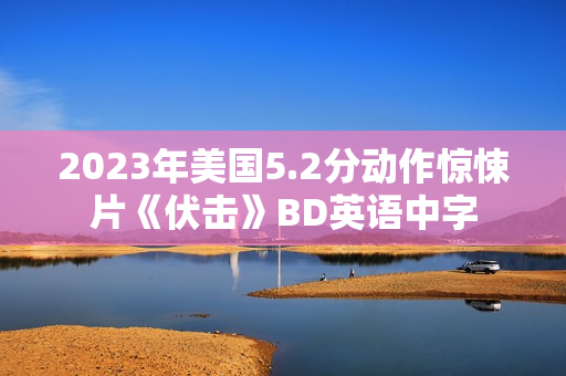 2023年美国5.2分动作惊悚片《伏击》BD英语中字 2023年美国5.2分动作惊悚片《伏击》BD英语中字