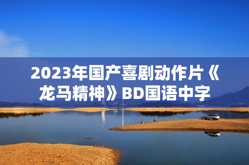 2023年国产喜剧动作片《龙马精神》BD国语中字