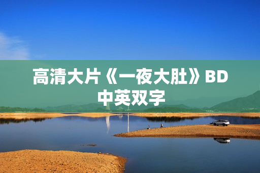高清大片《一夜大肚》BD中英双字