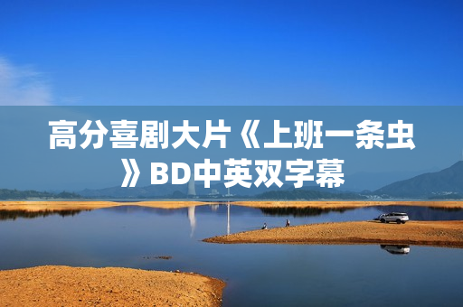 高分喜剧大片《上班一条虫》BD中英双字幕