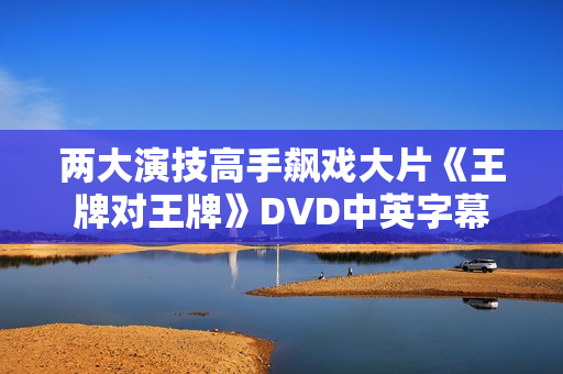 两大演技高手飙戏大片《王牌对王牌》DVD中英字幕
