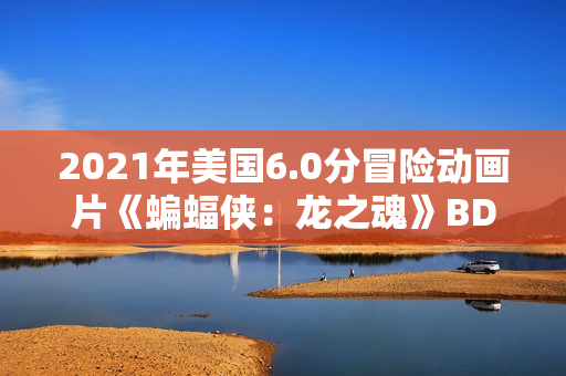 2021年美国6.0分冒险动画片《蝙蝠侠：龙之魂》BD中英双字