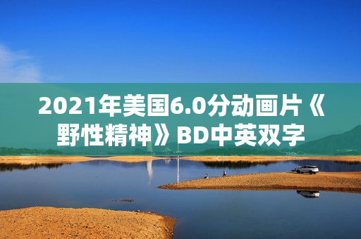 2021年美国6.0分动画片《野性精神》BD中英双字