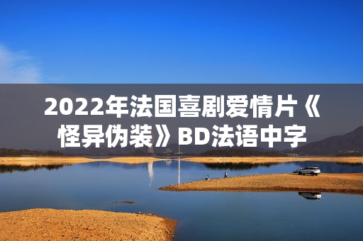 2022年法国喜剧爱情片《怪异伪装》BD法语中字