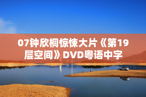07钟欣桐惊悚大片《第19层空间》DVD粤语中字