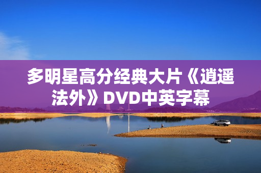 多明星高分经典大片《逍遥法外》DVD中英字幕