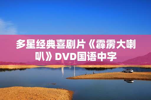 多星经典喜剧片《霹雳大喇叭》DVD国语中字