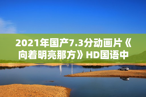 2021年国产7.3分动画片《向着明亮那方》HD国语中字