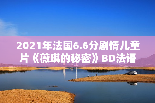 2021年法国6.6分剧情儿童片《薇琪的秘密》BD法语中字 2021年法国6.6分剧情儿童片《薇琪的秘密》BD法语中字