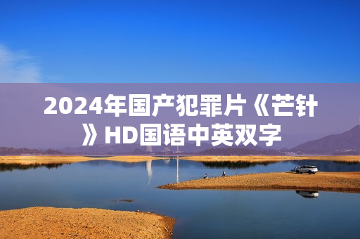 2024年国产犯罪片《芒针》HD国语中英双字