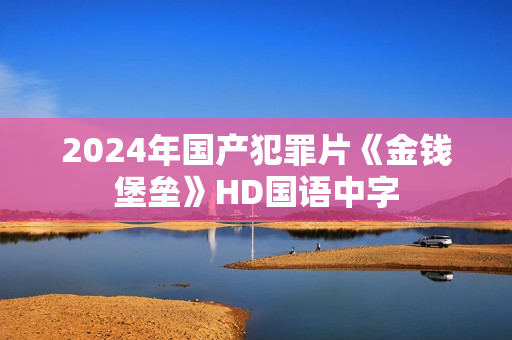2024年国产犯罪片《金钱堡垒》HD国语中字