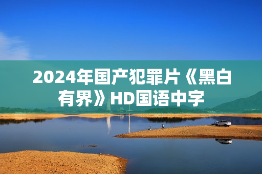 2024年国产犯罪片《黑白有界》HD国语中字