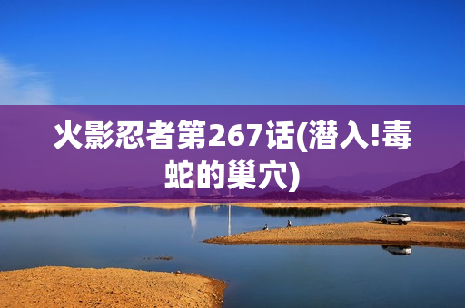 火影忍者第267话(潜入!毒蛇的巢穴)