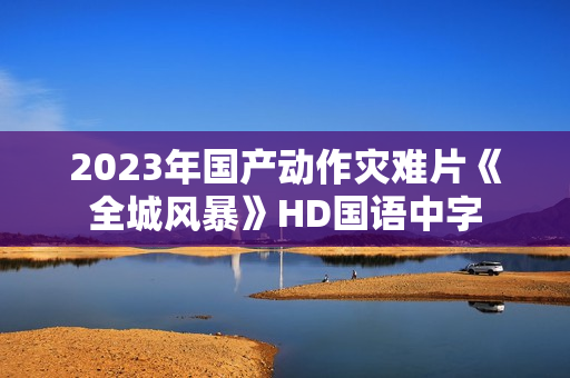 2023年国产动作灾难片《全城风暴》HD国语中字