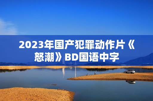 2023年国产犯罪动作片《怒潮》BD国语中字