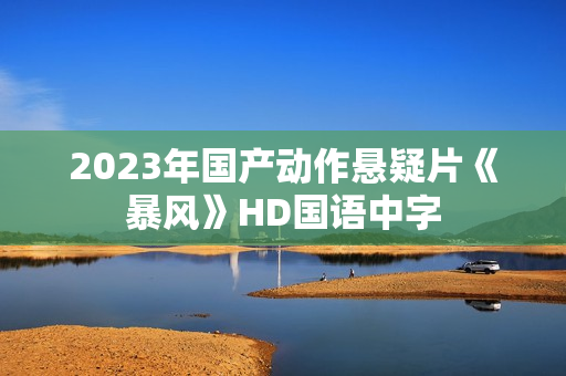 2023年国产动作悬疑片《暴风》HD国语中字