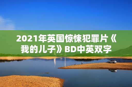2021年英国惊悚犯罪片《我的儿子》BD中英双字