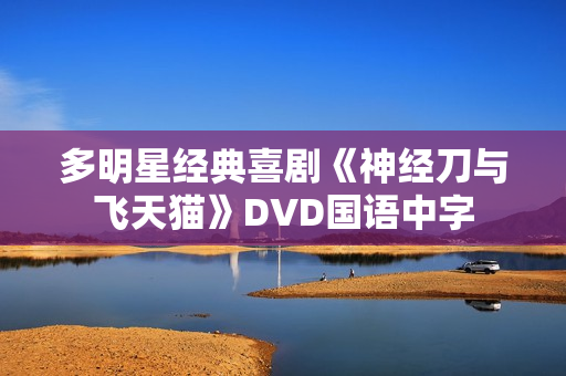 多明星经典喜剧《神经刀与飞天猫》DVD国语中字