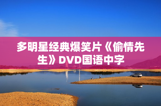 多明星经典爆笑片《偷情先生》DVD国语中字