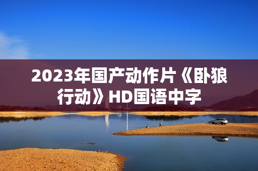 2023年国产动作片《卧狼行动》HD国语中字