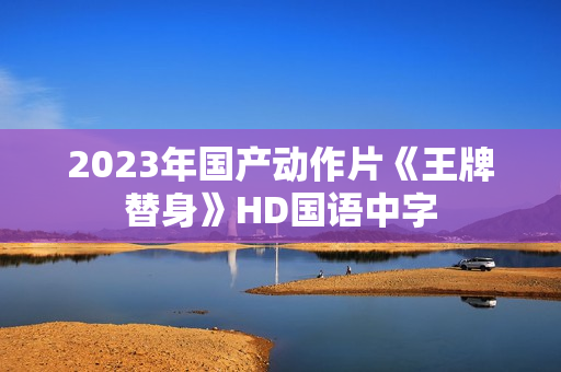 2023年国产动作片《王牌替身》HD国语中字