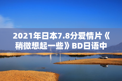 2021年日本7.8分爱情片《稍微想起一些》BD日语中字
