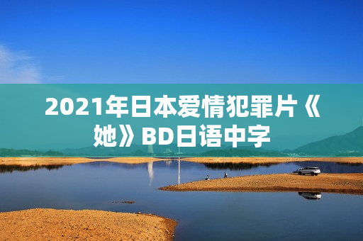 2021年日本爱情犯罪片《她》BD日语中字