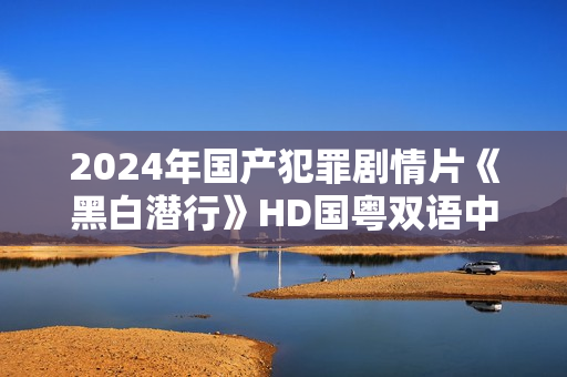 2024年国产犯罪剧情片《黑白潜行》HD国粤双语中字