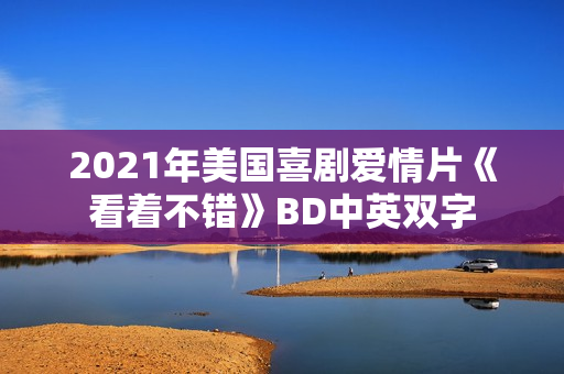 2021年美国喜剧爱情片《看着不错》BD中英双字
