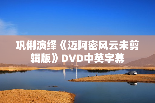 巩俐演绎《迈阿密风云未剪辑版》DVD中英字幕