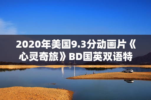 2020年美国9.3分动画片《心灵奇旅》BD国英双语特效中英双字