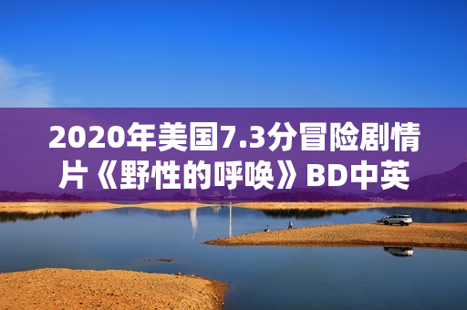 2020年美国7.3分冒险剧情片《野性的呼唤》BD中英双字