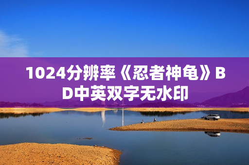 1024分辨率《忍者神龟》BD中英双字无水印