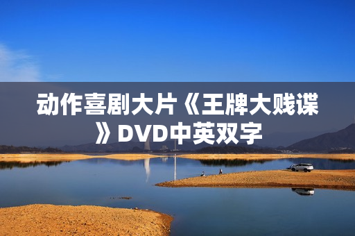 动作喜剧大片《王牌大贱谍》DVD中英双字