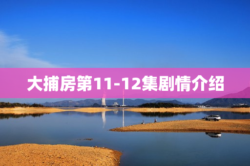 大捕房第11-12集剧情介绍