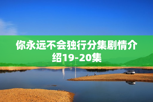 你永远不会独行分集剧情介绍19-20集