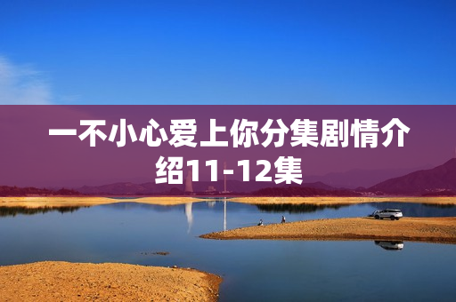 一不小心爱上你分集剧情介绍11-12集