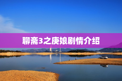 聊斋3之庚娘剧情介绍